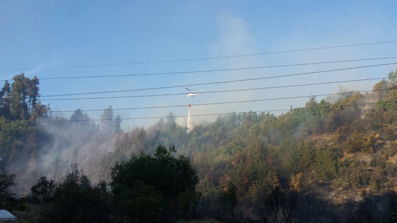 Controlan los incendios forestales que afectan a Machalí