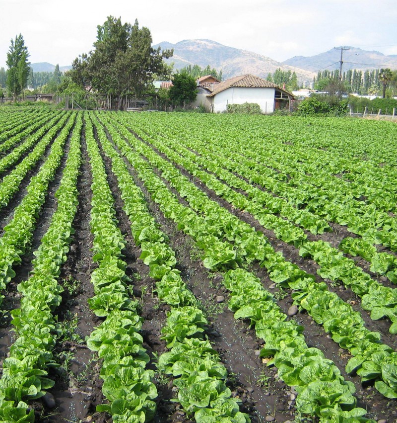 Dan a conocer las ventajas del Programa de habitabilidad Rural