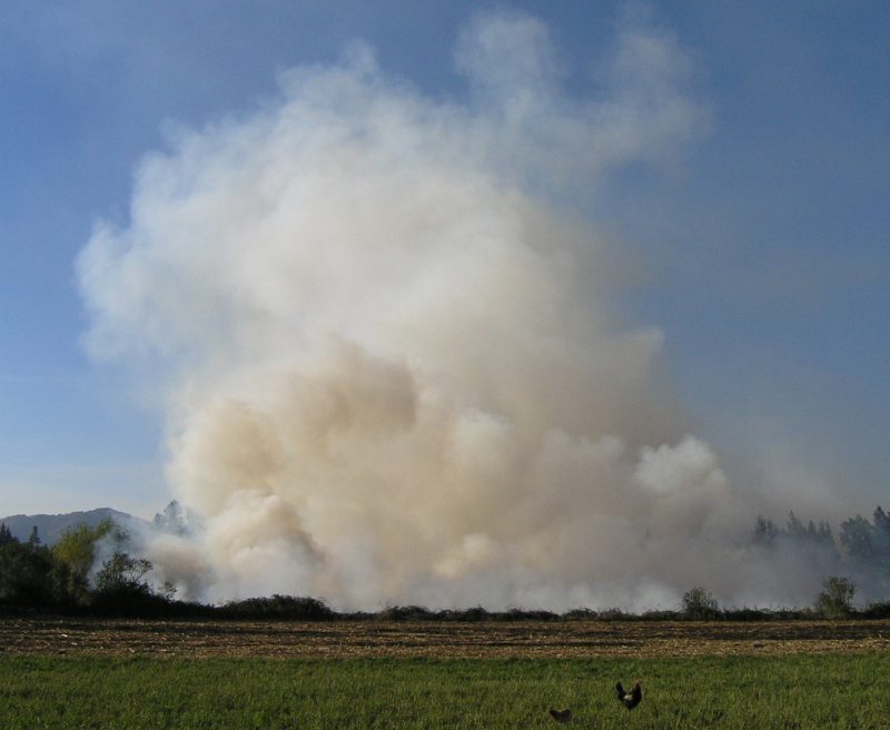 Comenzó prohibición para realizar quemas agrícolas en toda la Provincia de Cachapoal