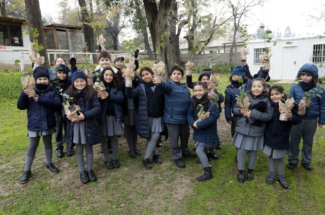 División El Teniente supera los 3 millones de árboles plantados