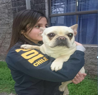 Recuperan perro avaluado en $1,5 millón robado en Villa Santa Josefina