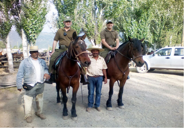 Carabineros del Retén Pangal realizan fiscalización en animales