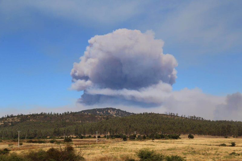Diputado Rincón (DC) pide declarar estado de catástrofe en región de O´higgins y aumentar con urgencia recursos para enfrentar violento incendio