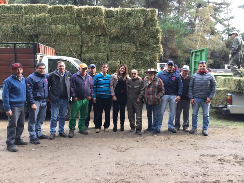 Municipio entrega fardos a pequeños agricultores de Machalí