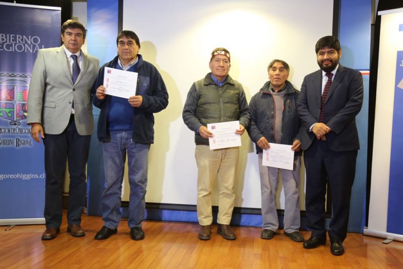 Conadi certificó a hablantes de mapudungun para que impartan clases en colegios de la región