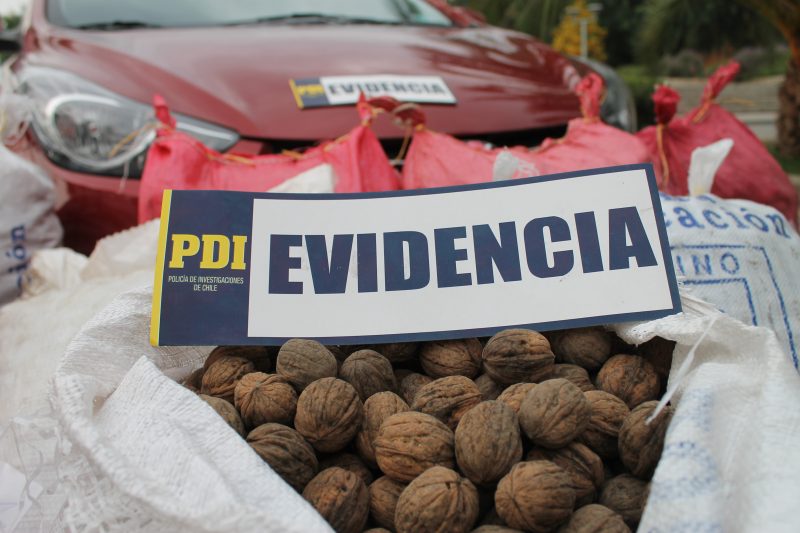 PDI detiene a tres sujetos con 238 kilos de nueces