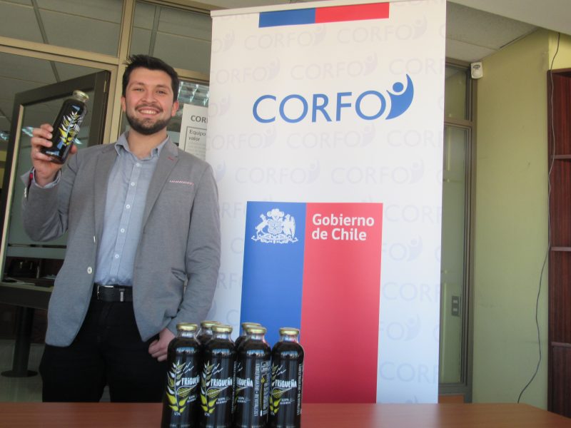 Presentan la primera bebida chilena de trigo libre de gluten