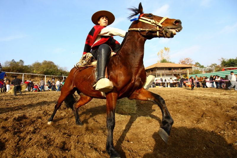 Sewell y Coya destacan en los panoramas regionales para este fin de semana