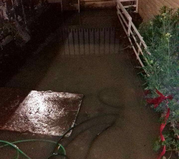 Familia clama por solución ante nueva inundación de su casa con aguas servidas