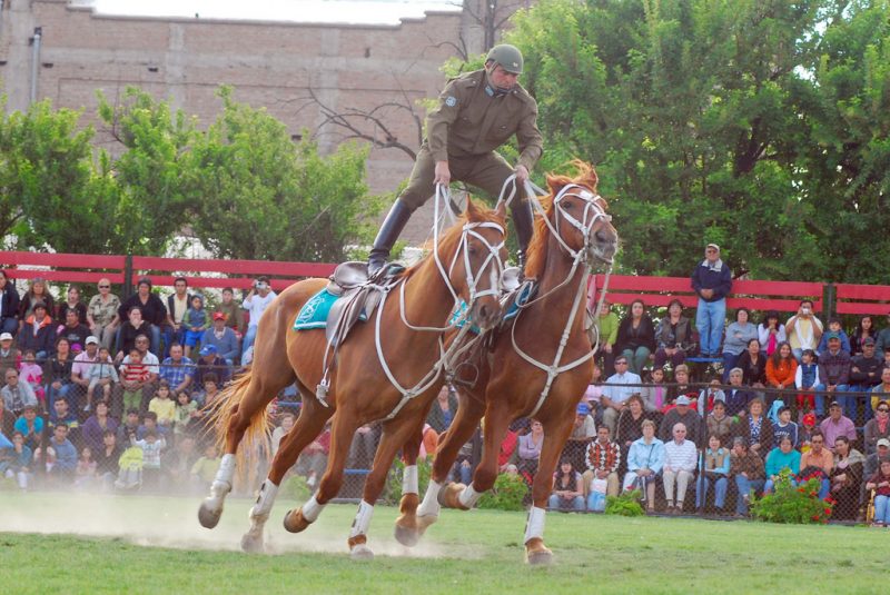 El Cuadro Verde de Carabineros se presenta este jueves en el Guillermo Chacón