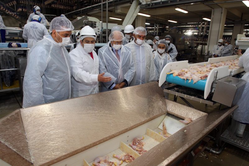 Incorporan cobre en la producción de pollos y cerdos