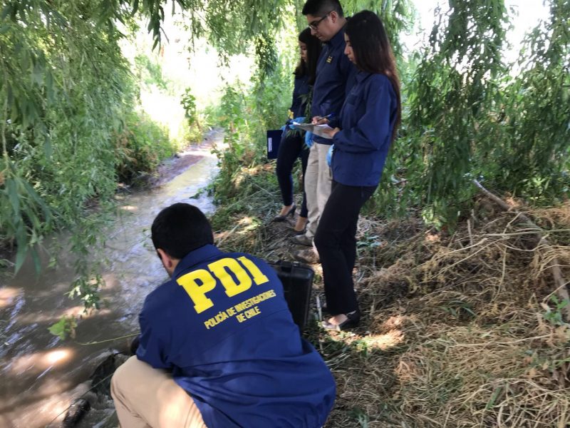Encuentran el cuerpo de un hombre en canal de regadío