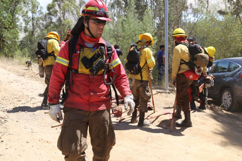 Director de Conaf y baja de incendios forestales: “Estamos mejor preparados”