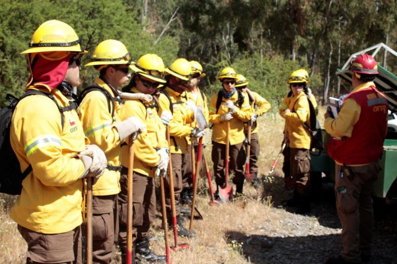 Brigadistas forestales del convenio Conaf-El Teniente realizan simulacro preventivo