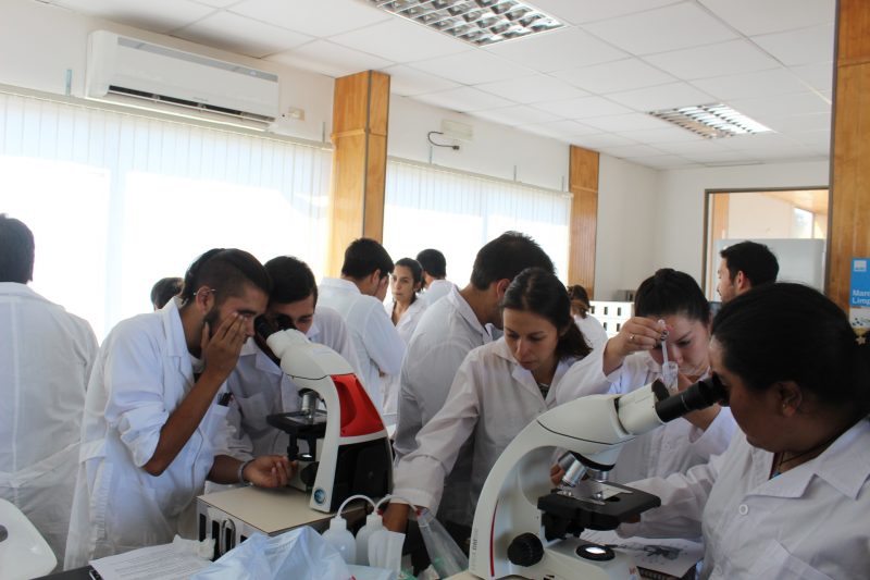Universidad de O´Higgins firmará convenios con universidades y centros de investigación de Japón