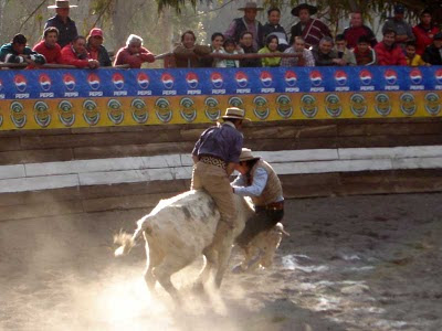 Los Centauros invitan a participar de anticuchada bailable