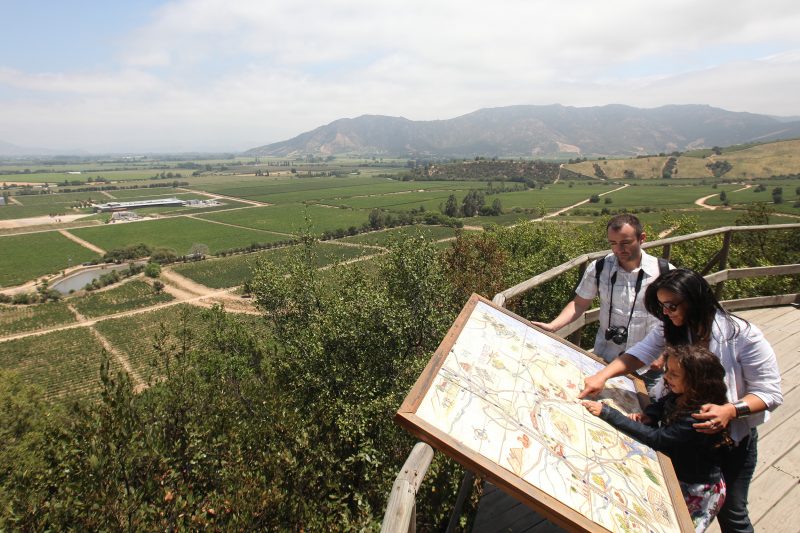 “Brinda con sus mejores vinos”: Valle de Colchagua será sede de Conferencia Mundial de Turismo Enológico de la OMT