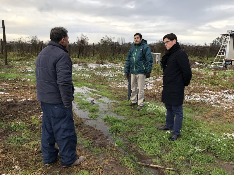 Entregan recomendaciones para la agricultura por bajas temperaturas