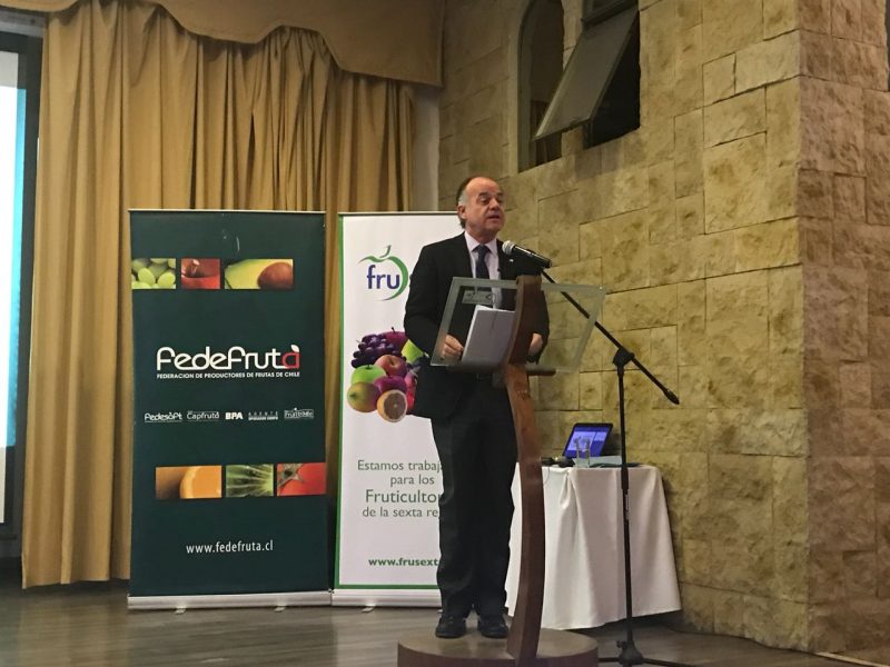 Ministro Walker destaca crecimiento de la superficie frutícola en la región de O’Higgins: “Es un gran paso que ha dado la agricultura de la región”