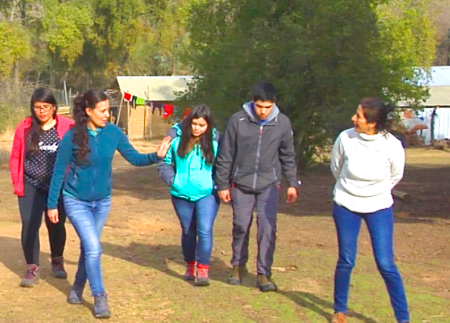 UOH trabaja en recuperación de suelos de bosque nativo afectados por megaincendio forestal en Pumanque