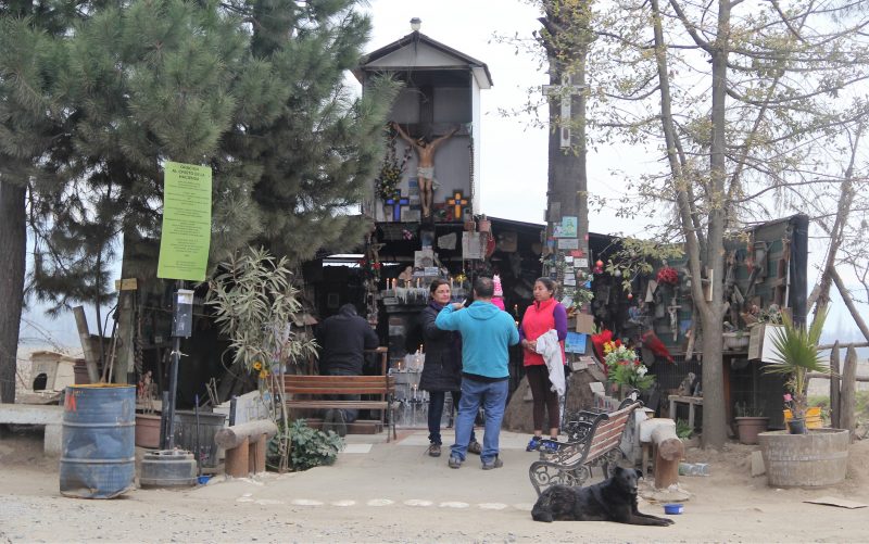 Plaga de ratones preocupa a fieles y vecinos del sector Cristo de La Hacienda