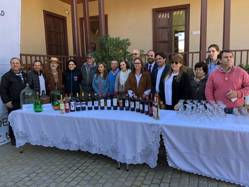 En Chépica será la próxima Fiesta de la Vendimia Campesina de Colchagua