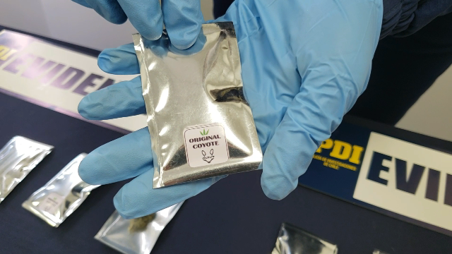 PDI detiene a tres mujeres y un hombre por tráfico de droga sellada al vacío