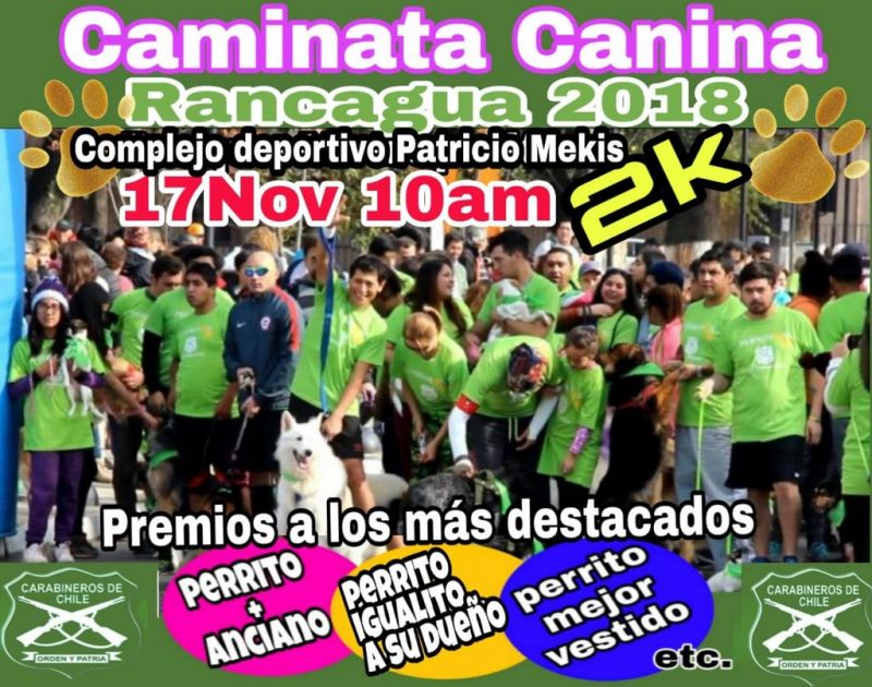 Carabineros invita a caminar con tu mascota