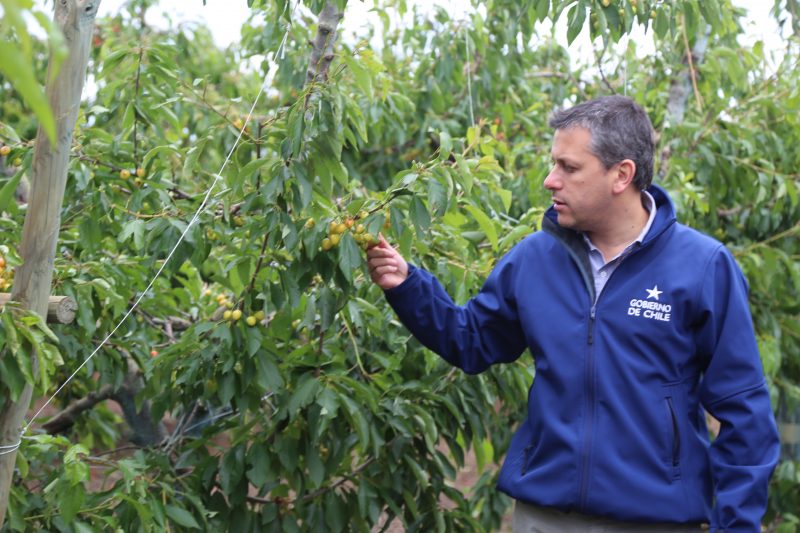 Intendente Masferrer solicitó decretar emergencia agrícola para Machalí y otras 9 comunas de O’Higgins