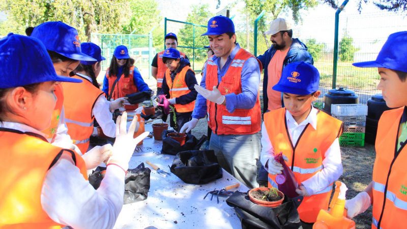 Niños de Machalí y otras comunas de la región podrán ser “Cuidadores de Árboles”