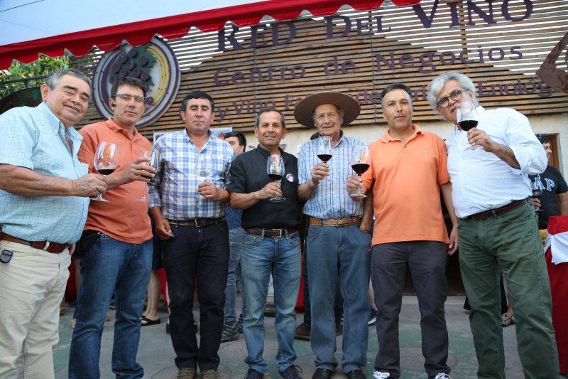 Santa Cruz albergó la Primera Exhibición y Cata de Vinos de Colchagua