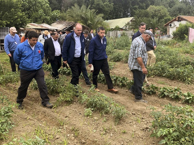 Ministerio de Agricultura decreta “Zona de Emergencia Agrícola” a Machalí y comunas afectadas por granizada