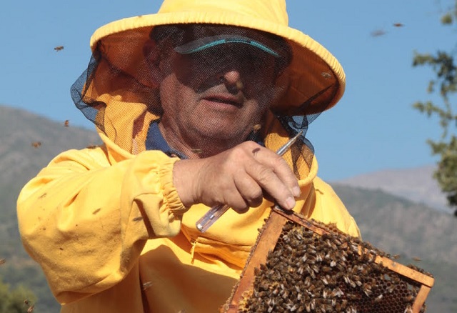 En Hacienda Cauquenes se realizó Encuentro “Enfrentando el cambio climático: Salvemos a las abejas” En Hacienda Cauquenes se realizó Encuentro “Enfrentando el cambio climático: Salvemos a las abejas”