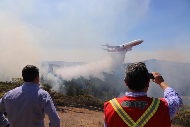 Paredones: Incendio forestal más grande de la temporada fue extinguido en tiempo record