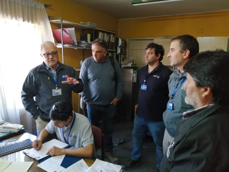 Rancagua: Seremi de Salud prohíbe funcionamiento del Mercado por plaga de ratones