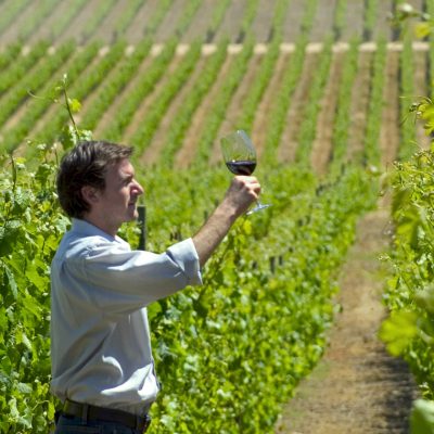 Nuevo proyecto potenciará el enoturismo en Cachapoal