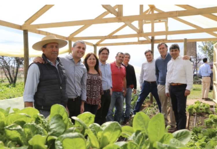 Intendente Masferrer enviará al CORE iniciativas que irán en directo beneficio de agricultores de O´Higgins