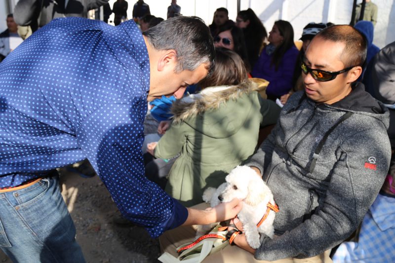 Más de 70 mil mascotas fueron inscritas en toda la región