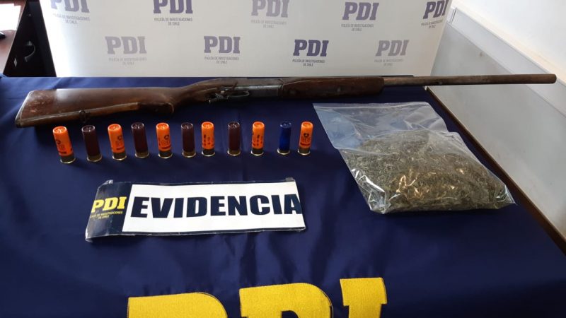 Pichilemu: PDI detiene a sujeto con invernadero de cannabis sativa
