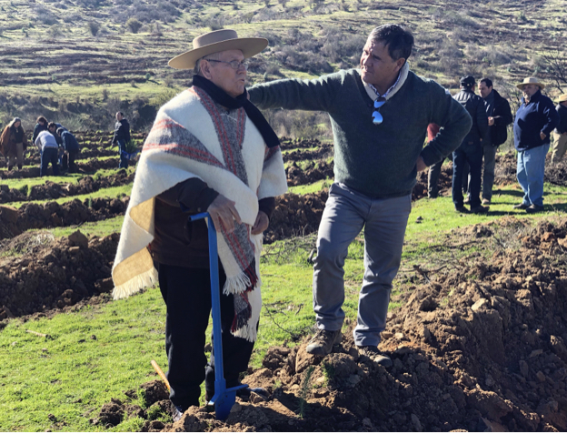 Casi $700 millones de pesos en inversión entregó CONAF a damnificados de los megaincendios del año 2017