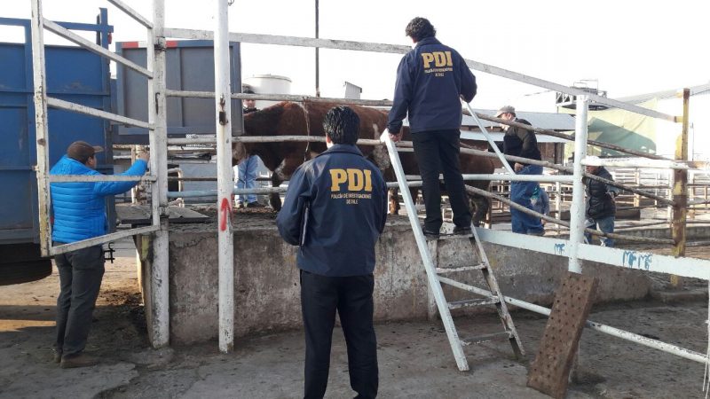 Dos detenidos por matadero clandestino