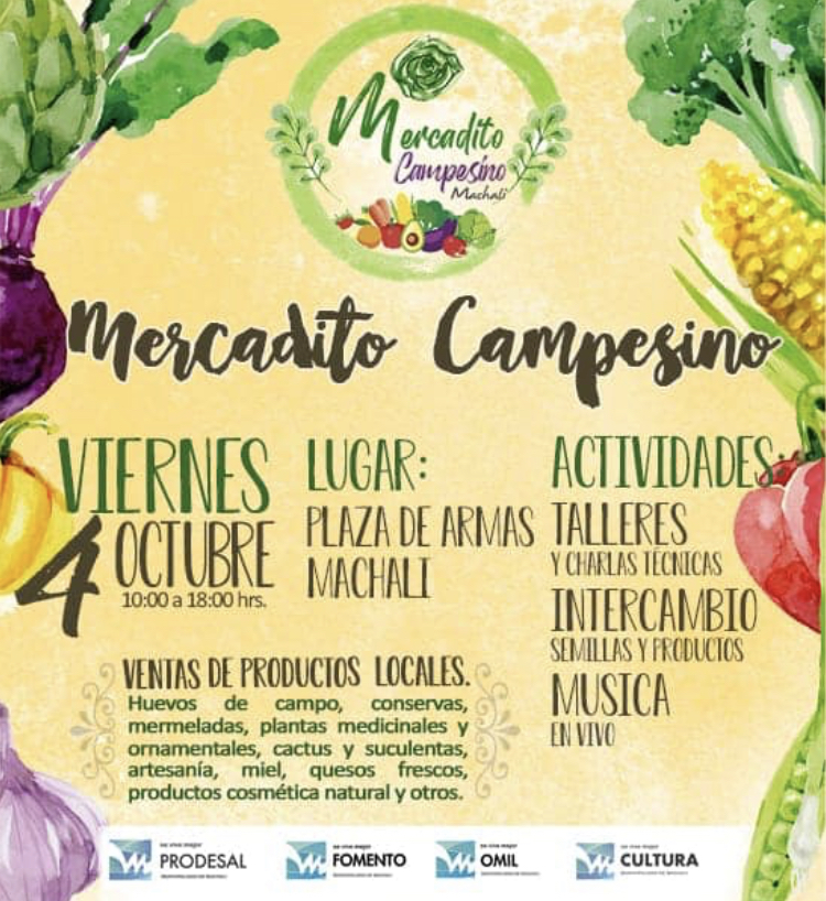 Machalí: productores locales ofrecerán sus productos en un nuevo Mercadito Campesino Machalí