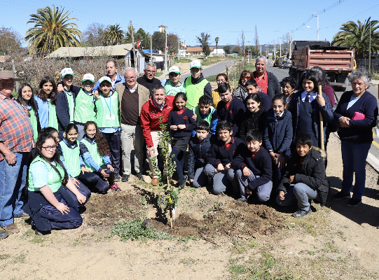 La región se sumó a la COP25 con la plantación simultánea de un árbol en las 33 comunas