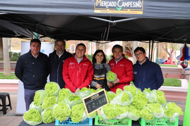 O’Higgins: Gobierno impulsa red de Mercados Campesinos para fortalecer la agricultura familiar