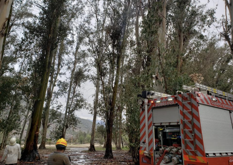 Machalí: incendio en cercanías de Palacio Presidencial Casa 100 de Coya