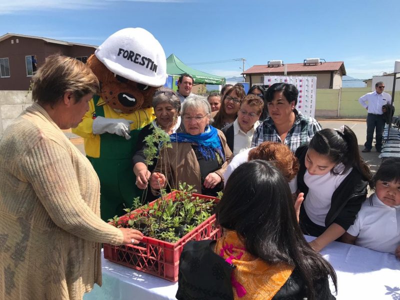 CONAF y Municipalidad de Machalí, entregan nueva plaza en Villa Los Girasoles