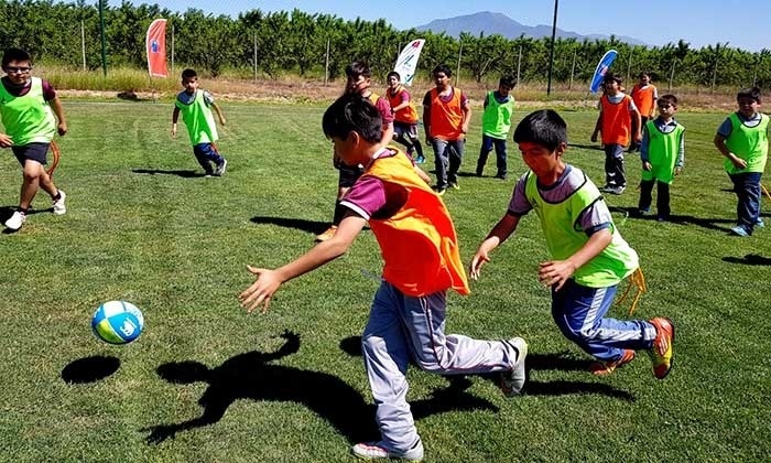 Ministerio del Deporte decreta suspensión de sus talleres y programas