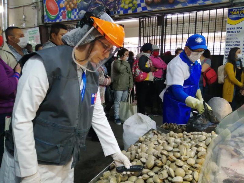 Compra de Pescados y Mariscos por Semana Santa: Seremi de Salud hace llamado a no aglomerarse y que se respete la cadena de frío