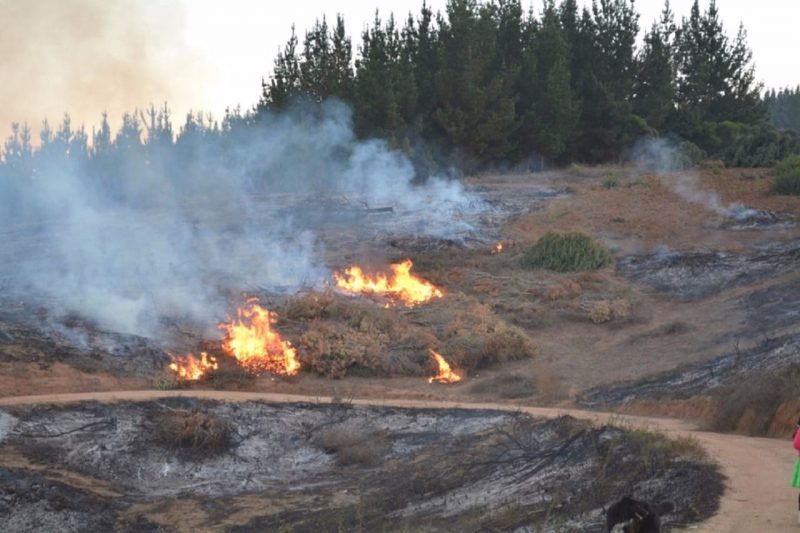 En O’Higgins continúa la prohibición de quemas en todo el territorio