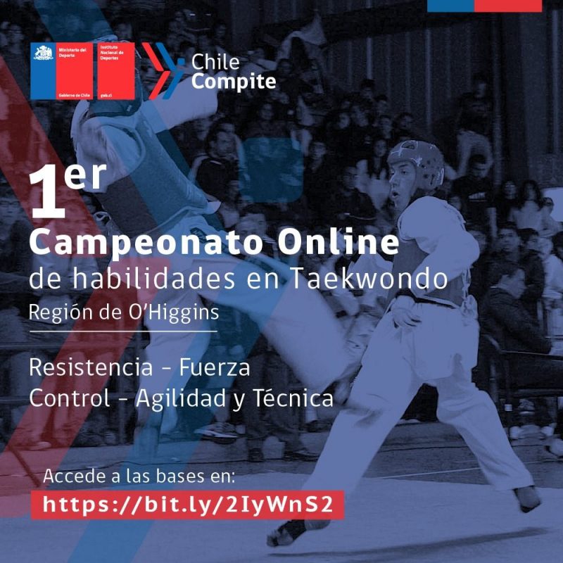 Primer Campeonato online  de habilidades en Taekwondo